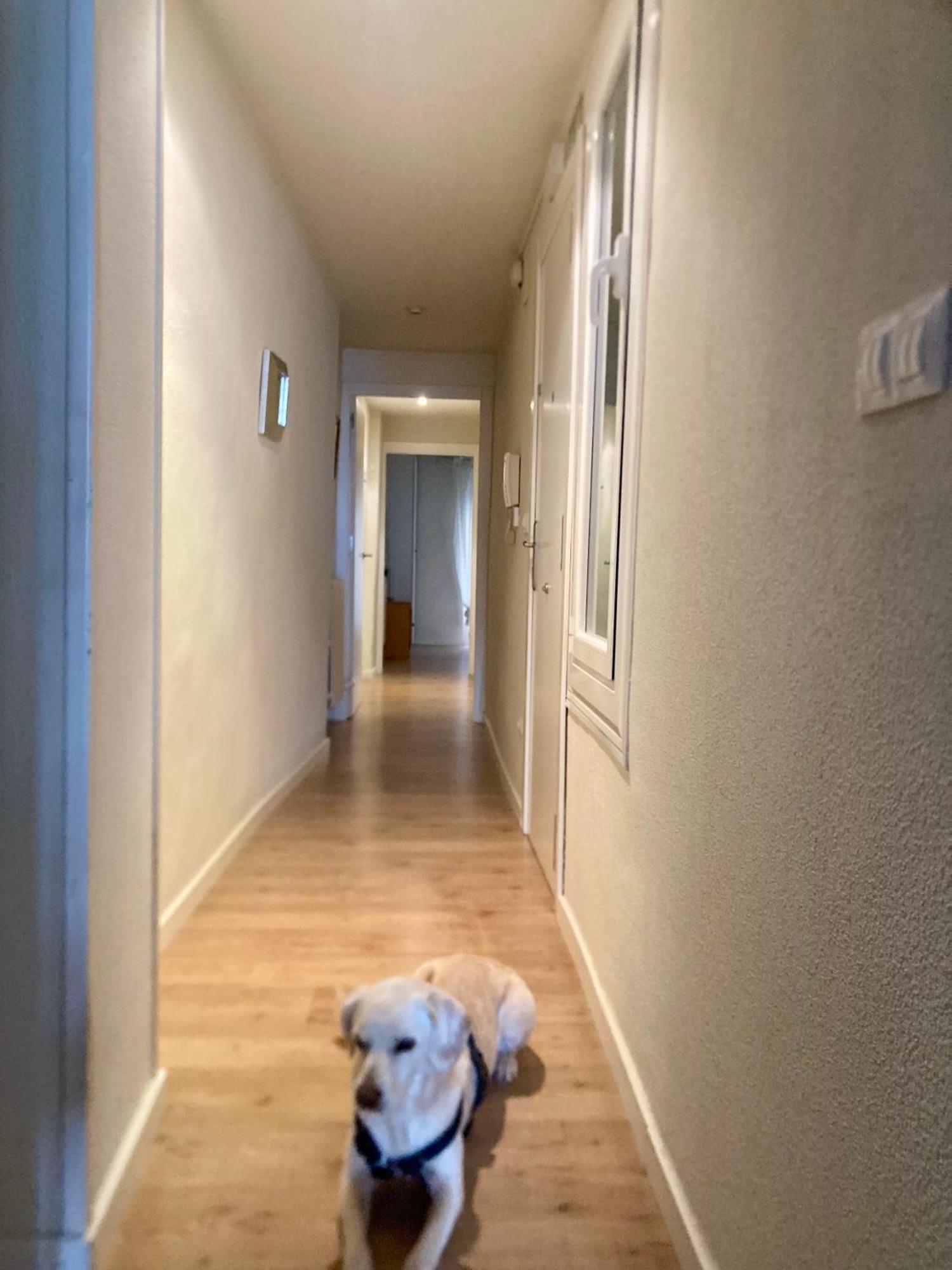 Apartamento San Gregorio Pamplona Exteriér fotografie
